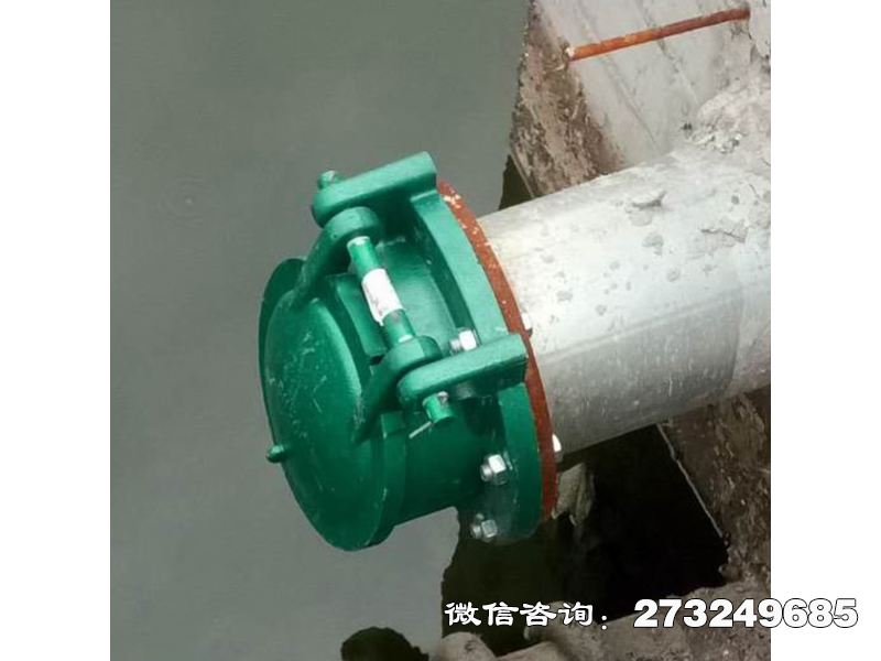 歙县污水管道玻璃钢拍门
