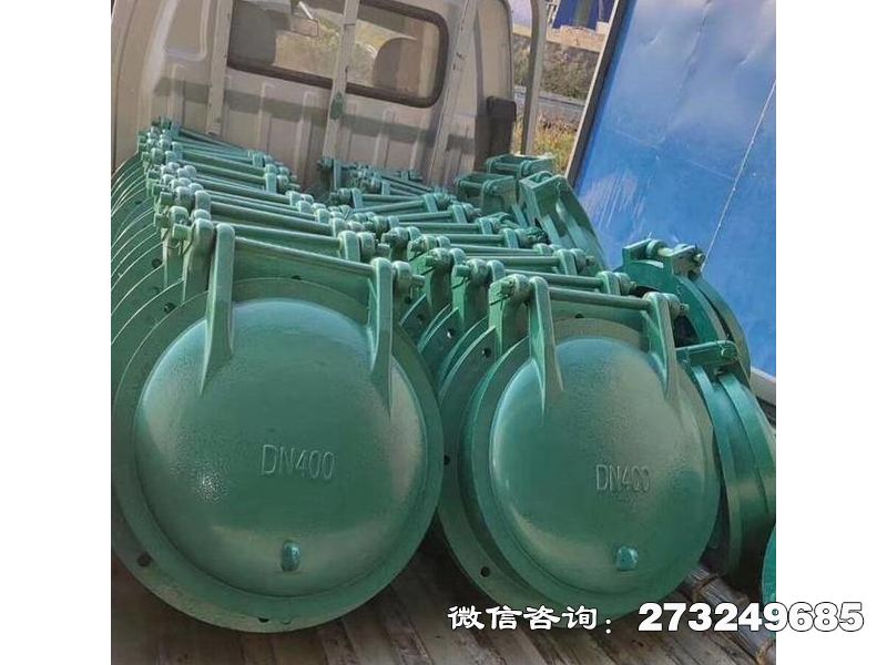 延寿县排污口玻璃钢拍门