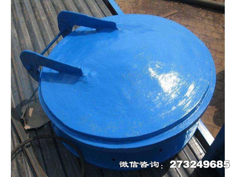 通河县复合材料防倒灌拍门