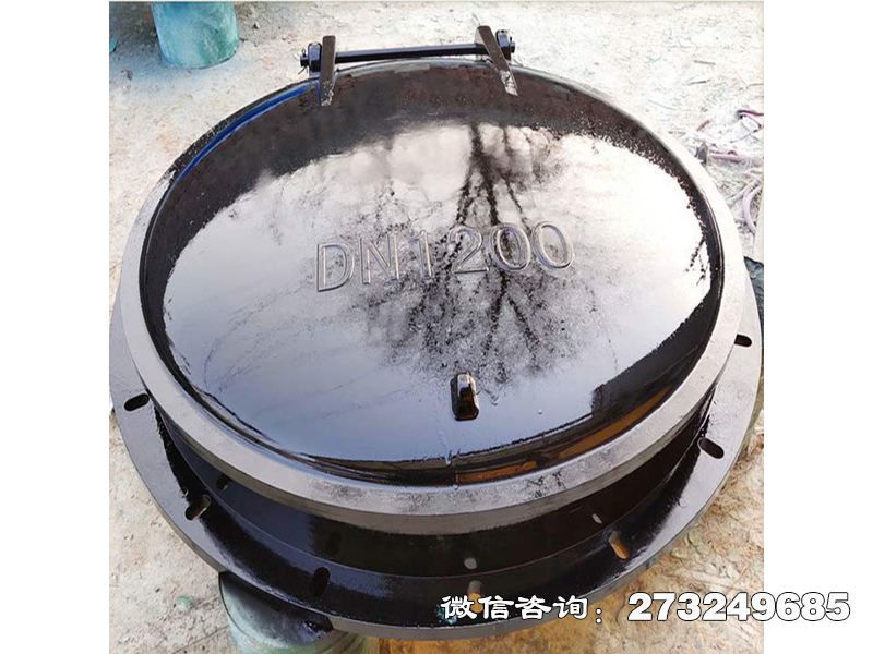 通河县防倒灌玻璃钢拍门