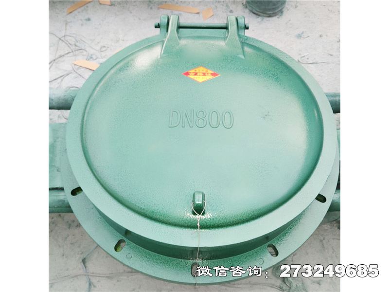 通河县玻璃钢自动启闭拍门