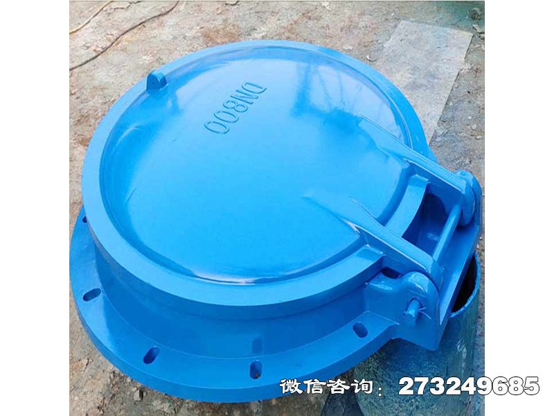 通河县单向水流控制拍门