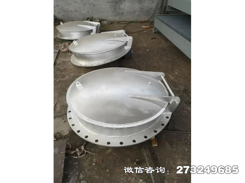 锦屏县防止洪水倒灌不锈钢拍门