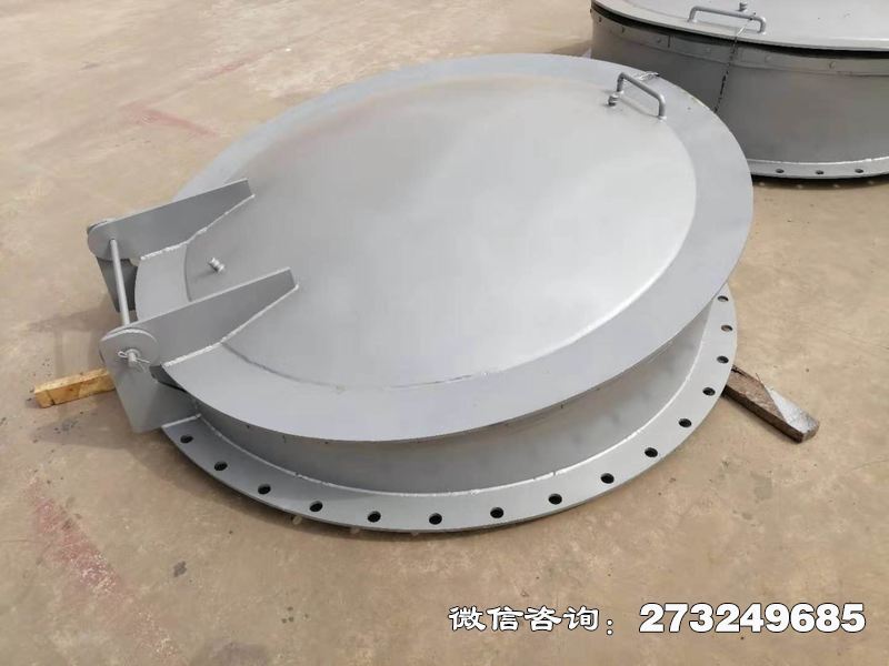 灵璧县不锈钢逆止拍门