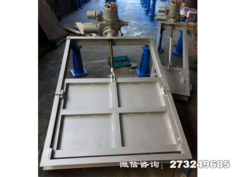 丰都县316L不锈钢机闸一体闸门