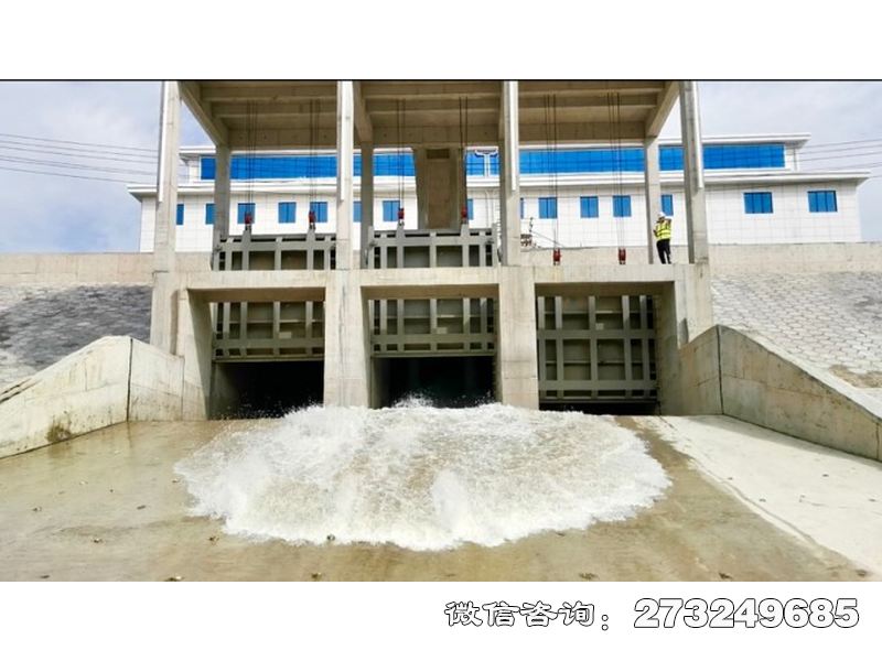 黄山应急排涝泵站闸门