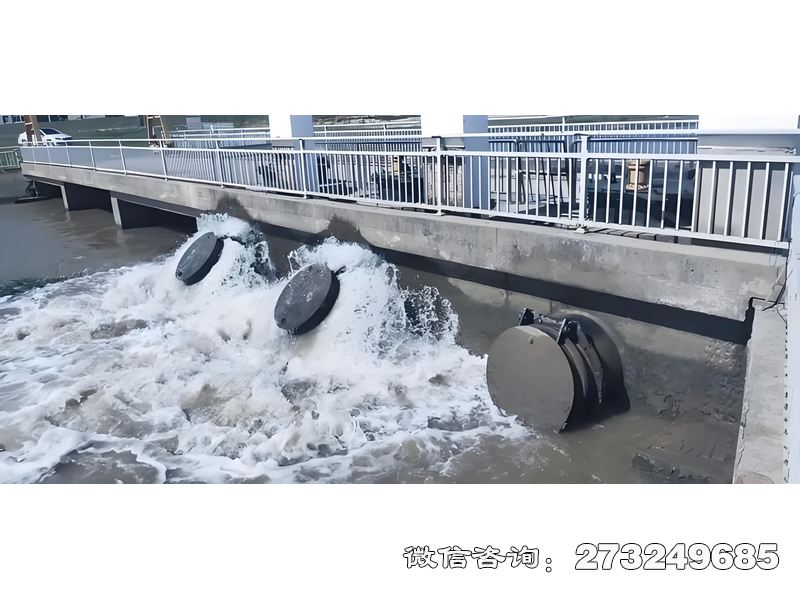 磴口县内河潮门拍门