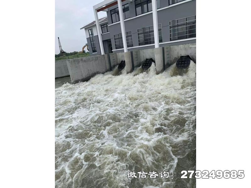 德州防潮堤潮门拍门