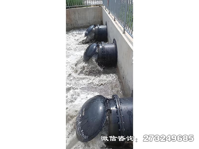 三水污水处理厂潮门拍门