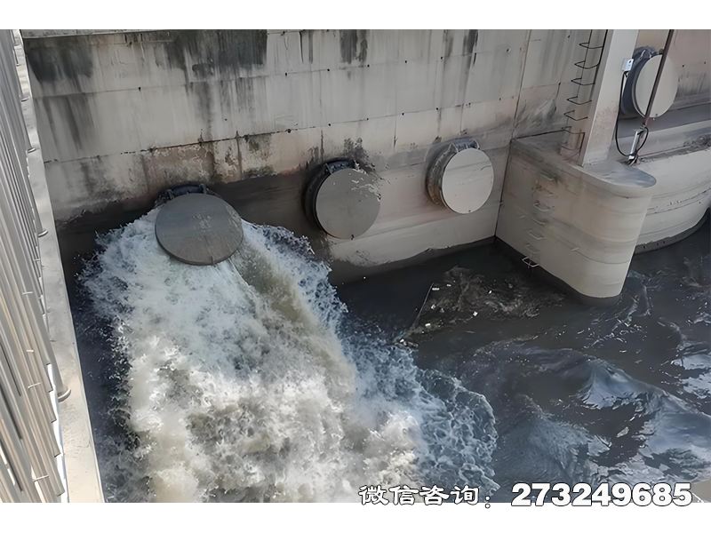 三水隧道排水口潮门拍门