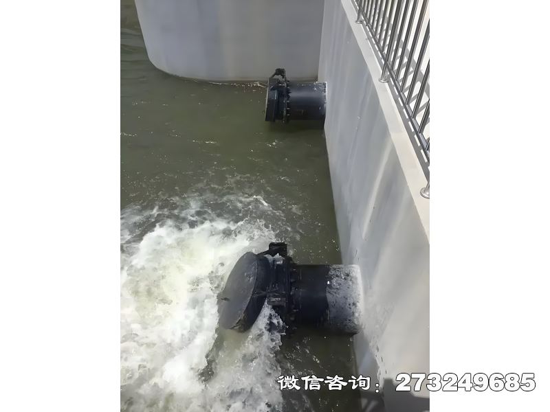 磴口县河道潮门拍门