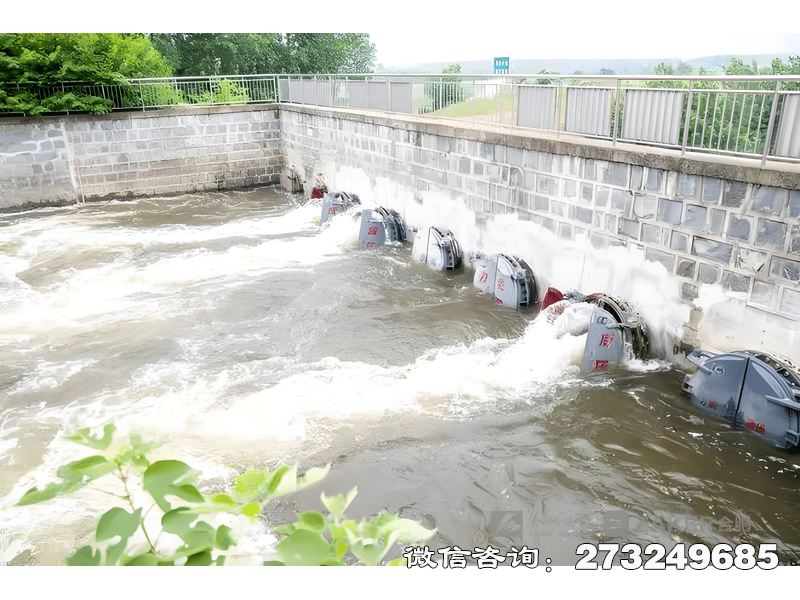 三水河道防洪堤排水潮门拍门