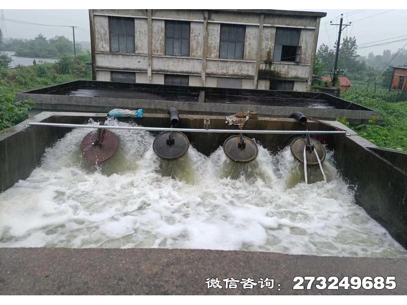 宜黄县行洪区退水口潮门拍门
