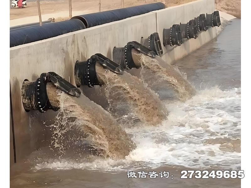 宜黄县蓄滞洪区分洪闸潮门拍门