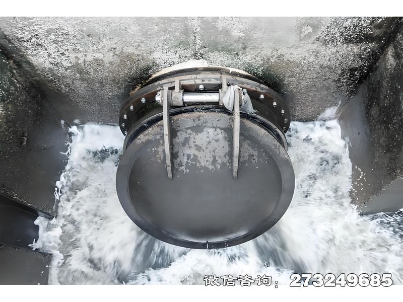 宜黄县河道排水潮门拍门