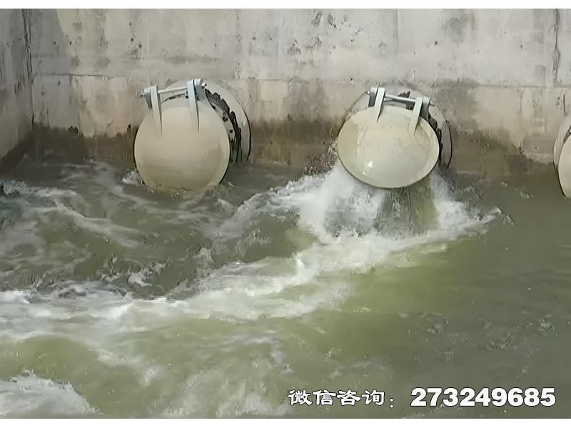 宿迁河道生态护岸排水潮门拍门