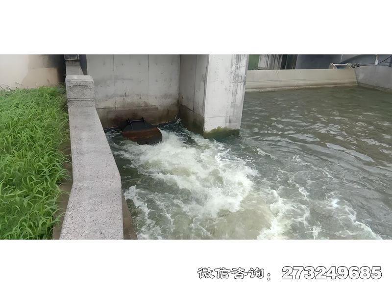 尚志海塘防潮闸潮门拍门