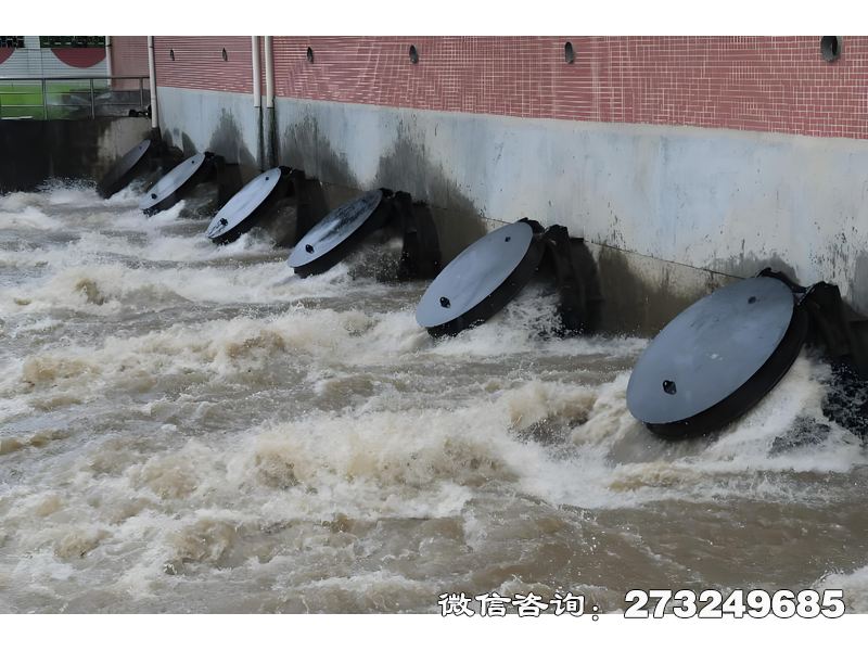 怒江州灌溉渠首水闸潮门拍门