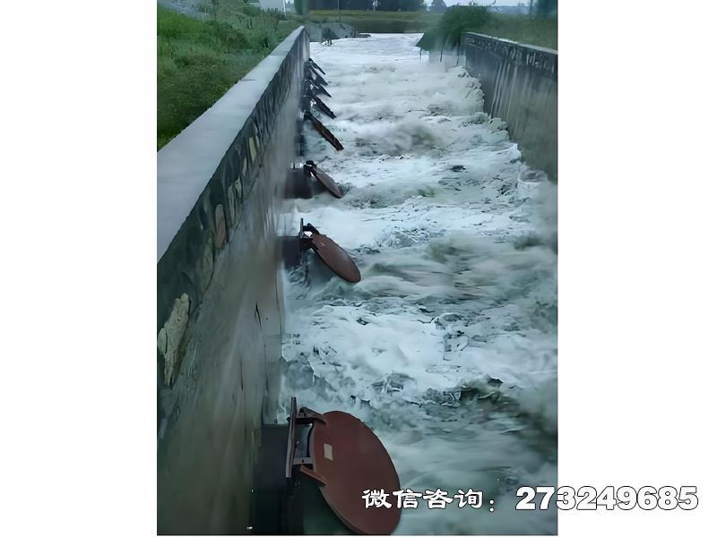 尚志进出口潮门拍门