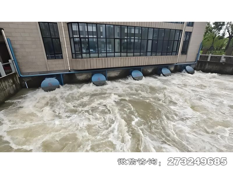 五常海防工程拍门