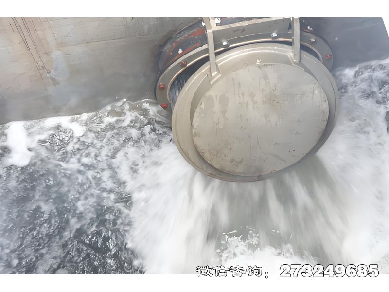 五常海堤排水拍门