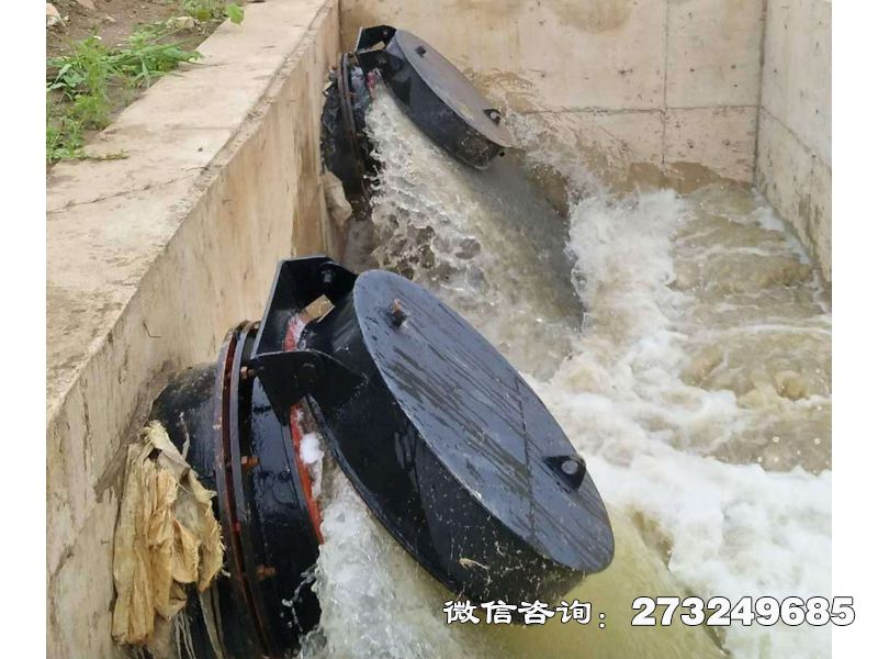磴口县海水防倒灌拍门