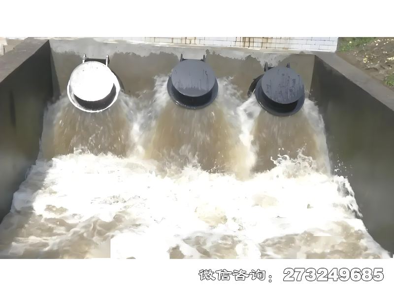 磴口县河口防潮拍门