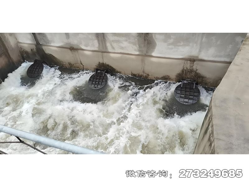 磴口县海水养殖排水拍门