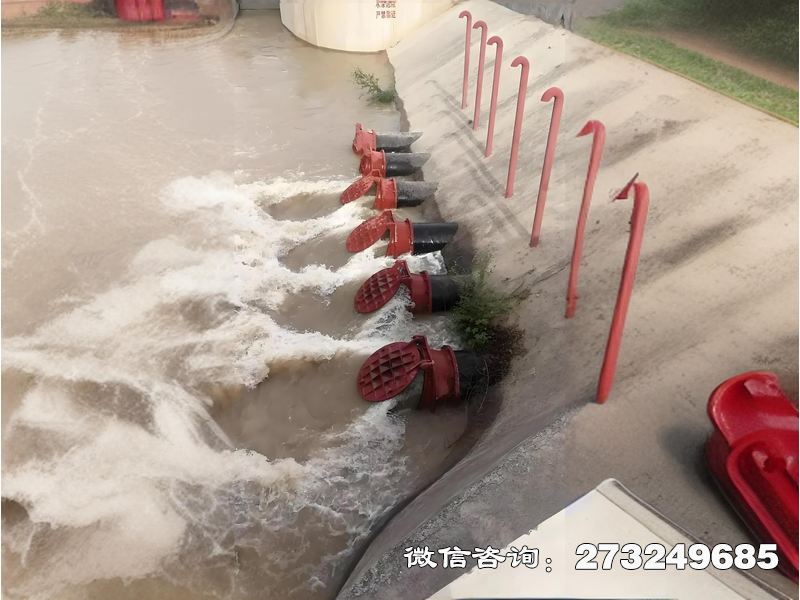 磴口县海水生态防潮拍门
