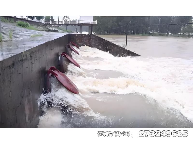 宜黄县城市排水系统潮门拍门