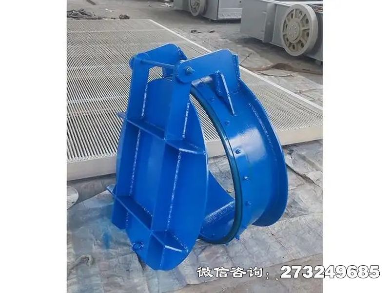 磴口县水库钢制防倒灌拍门