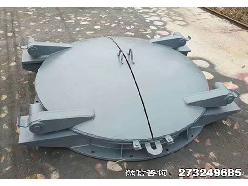 封开县沿海防潮钢制拍门