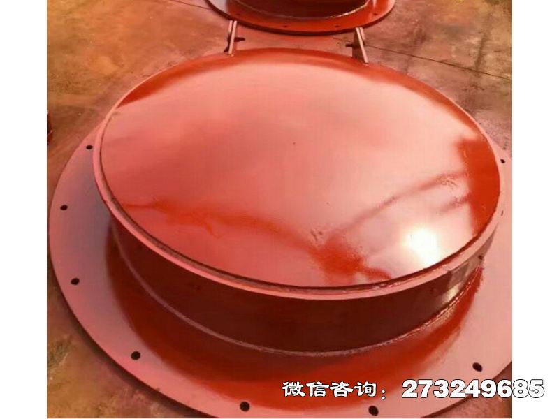 磴口县潮汐电站钢制拍门