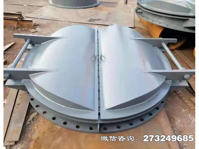东港防潮钢制海堤拍门
