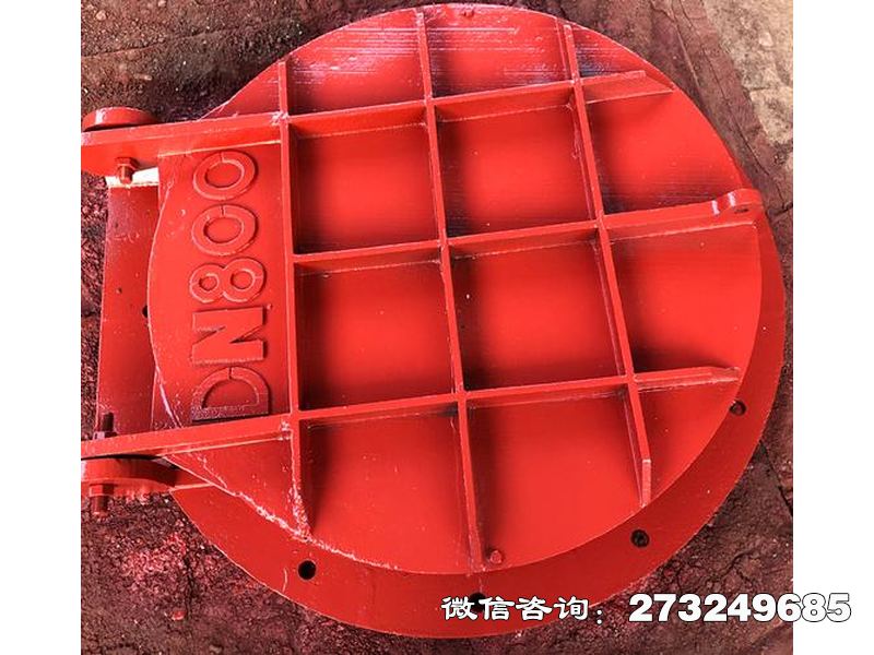 东港止回钢制管道拍门