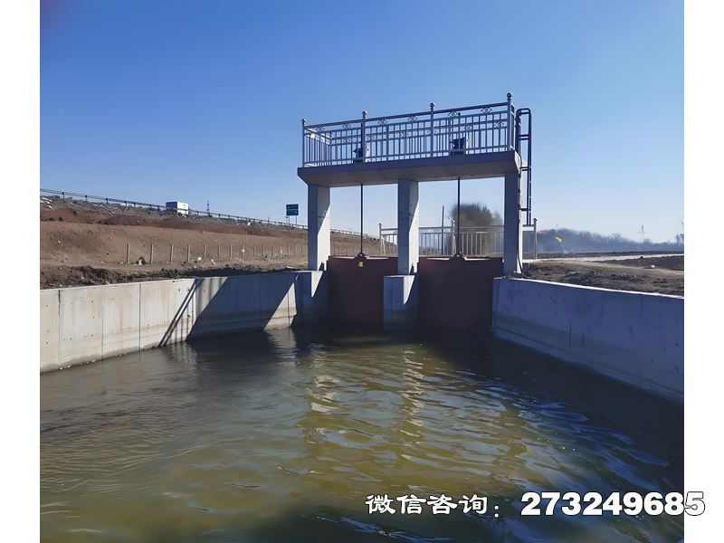 广西渠道进水闸