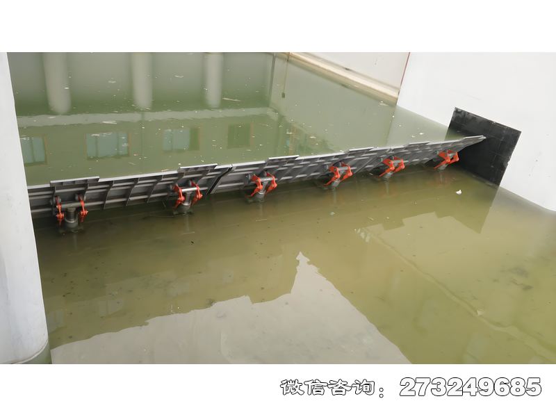 广西湖泊防洪安全坝