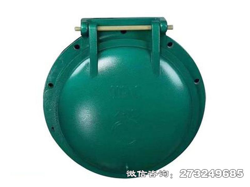 歙县铸铁圆型潮汐防倒灌拍门
